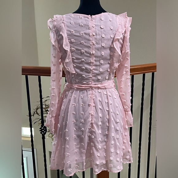 Woven Pink SWISS DOT, V NECK RUFFLE TRIM LONG SLEEVE FEMININE MINI DRESS SIZE M - Picture 6 of 13